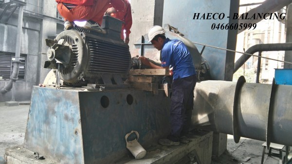 Bảo trì cân bằng động tập đoàn Vissai - Cân Bằng Động HAECO - Công Ty CP Phát Triển Thiết Bị Điện Hà Nội